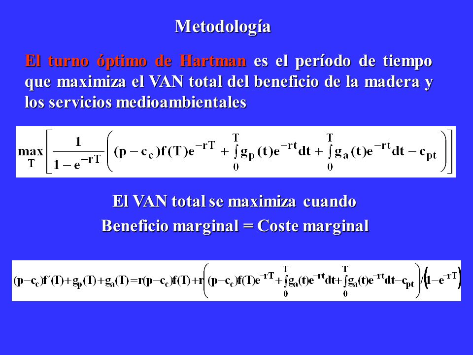 El VAN total se maximiza cuando Beneficio marginal = Coste marginal
