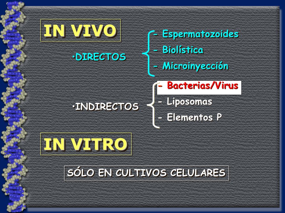 IN VIVO IN VITRO - Espermatozoides - Biolística - Microinyección