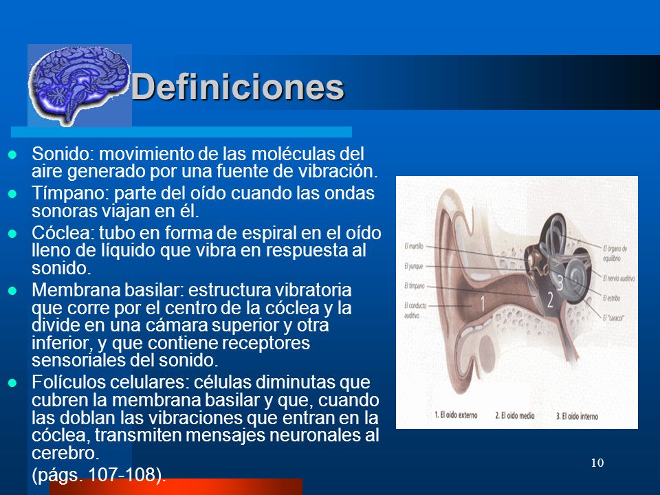 Definiciones Sonido: movimiento de las moléculas del aire generado por una fuente de vibración.