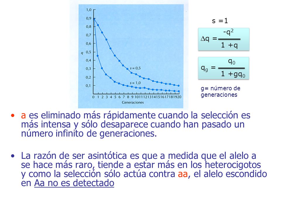 s =1 -q2. 1 +q. Dq = q0. 1 +gq0. qg = g= número de generaciones.
