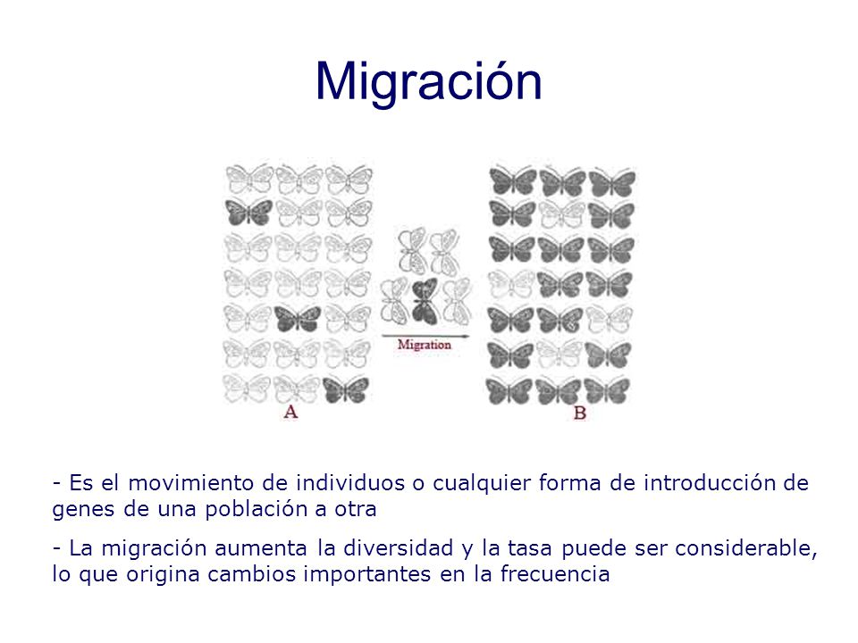 Migración En plantas la migración la podrían producir los insectos que llevarán polen de una población a otra.