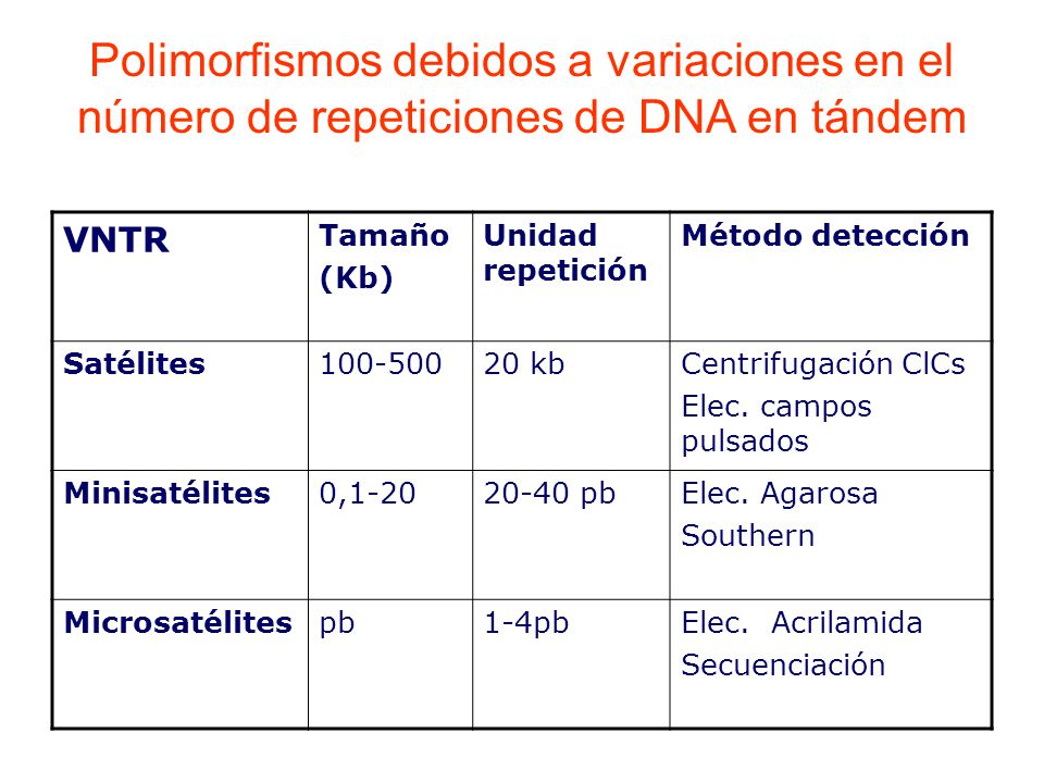 Polimorfismos debidos a variaciones en el número de repeticiones de DNA en tándem