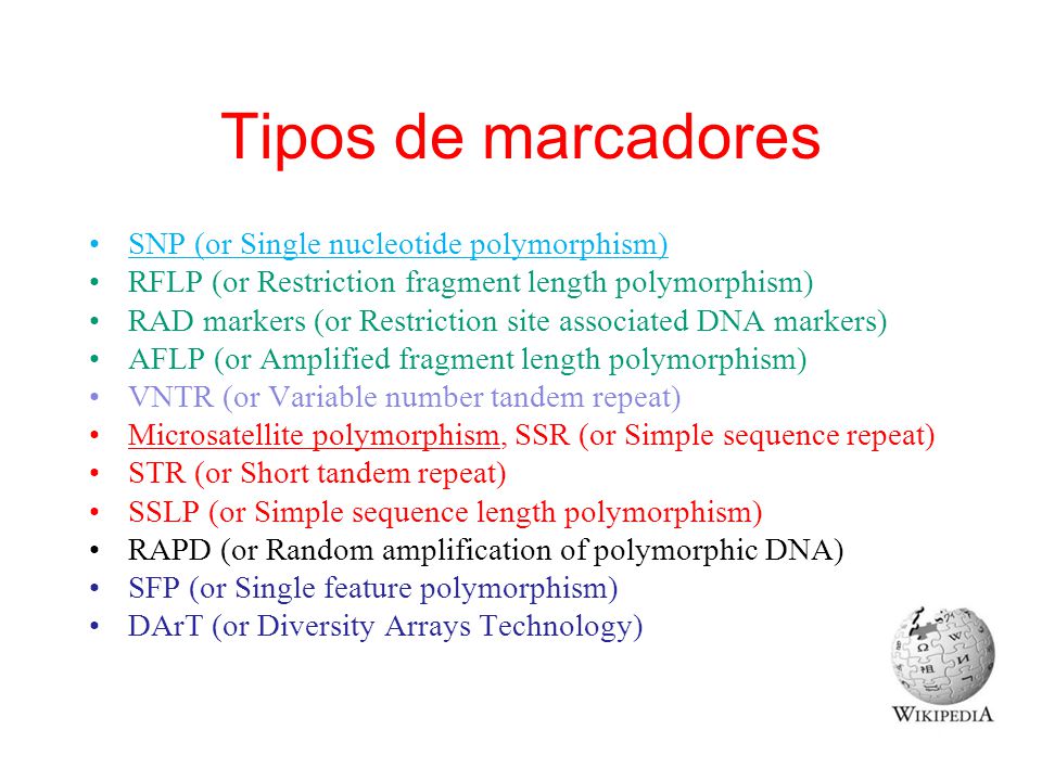Tipos de marcadores SNP (or Single nucleotide polymorphism)