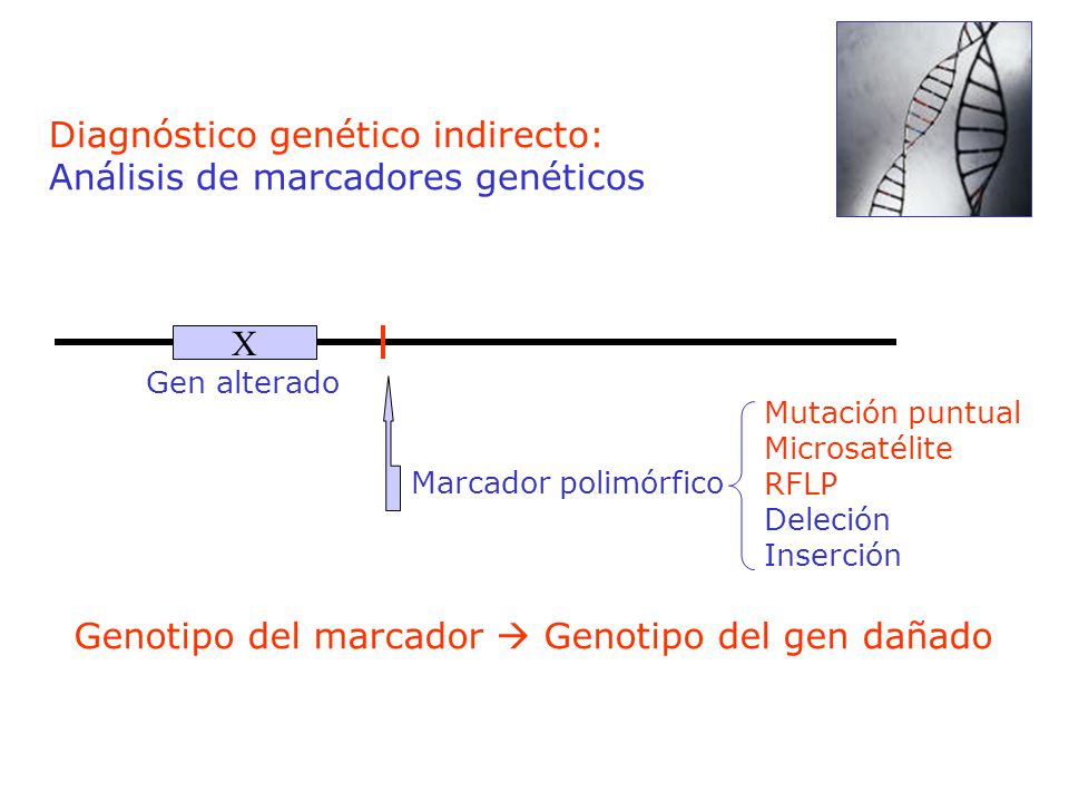Diagnóstico genético indirecto: Análisis de marcadores genéticos