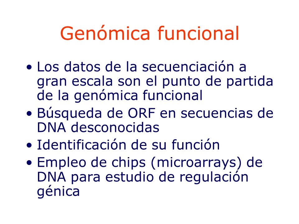 Genómica funcional Los datos de la secuenciación a gran escala son el punto de partida de la genómica funcional.