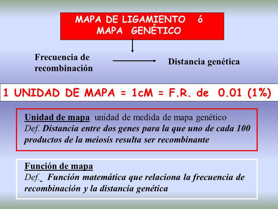 1 UNIDAD DE MAPA = 1cM = F.R. de 0.01 (1%)
