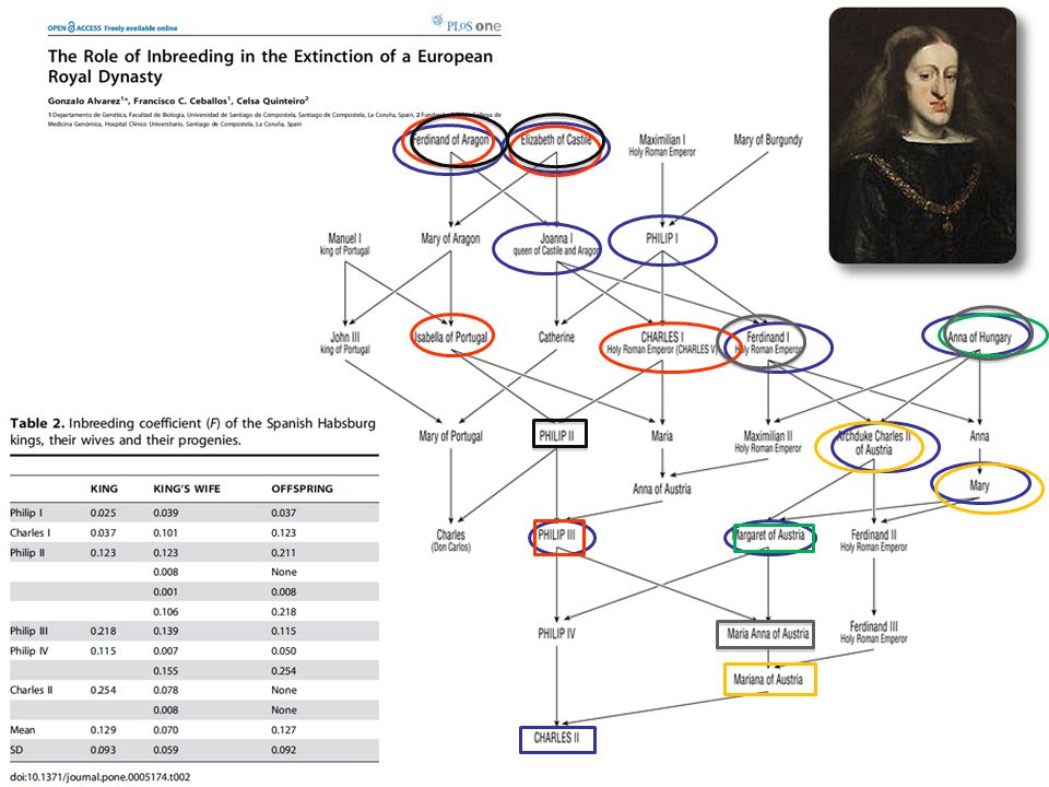 The last king of the Spanish Habsburg dynasty was Charles II