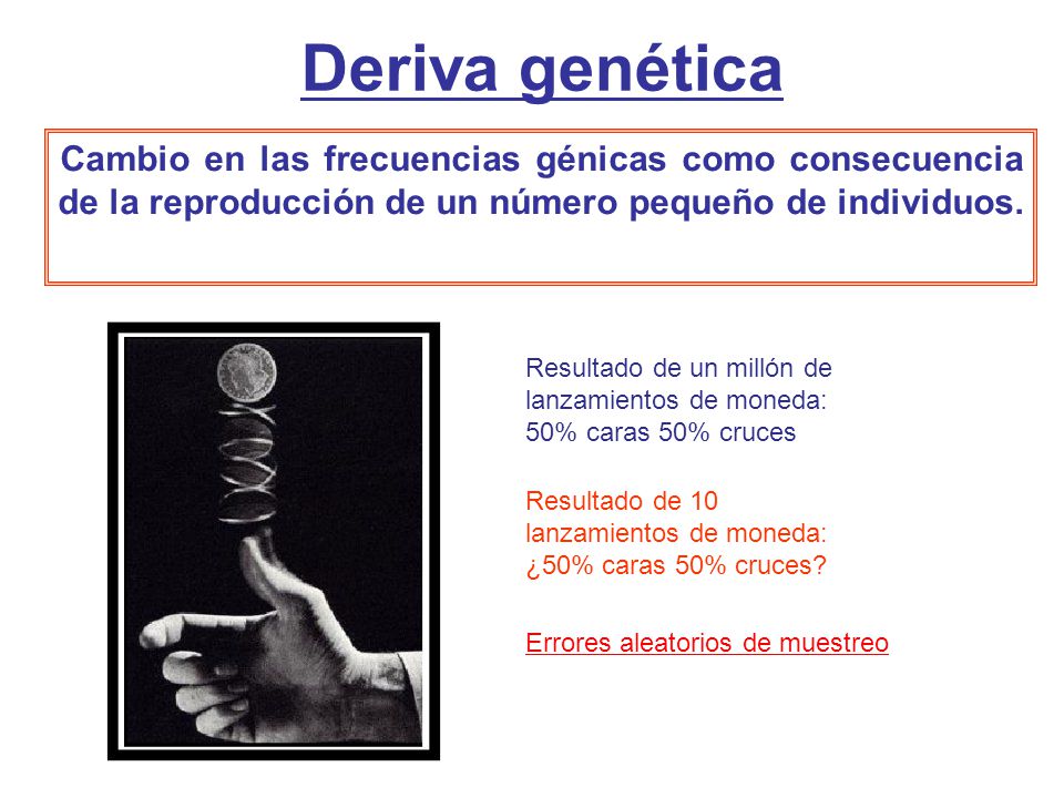 Deriva genética Cambio en las frecuencias génicas como consecuencia de la reproducción de un número pequeño de individuos.
