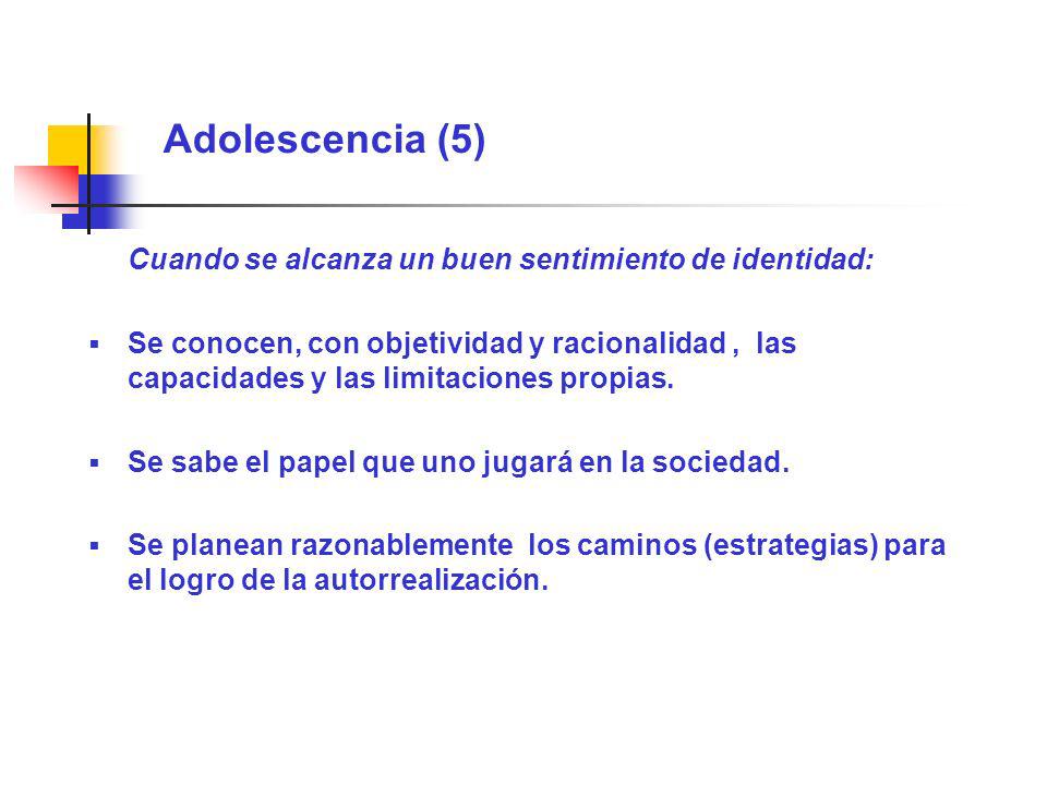 Adolescencia (5) Cuando se alcanza un buen sentimiento de identidad: