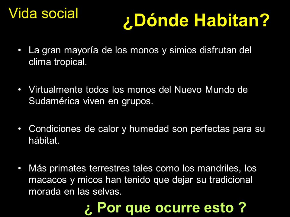 ¿Dónde Habitan Vida social ¿ Por que ocurre esto