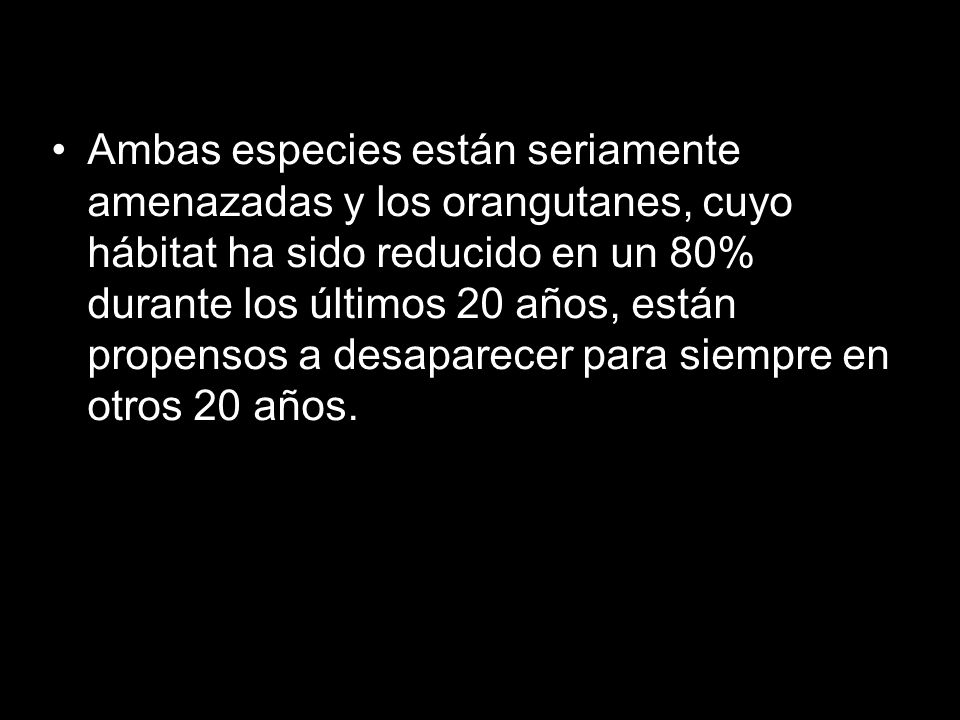 Ambas especies están seriamente amenazadas y los orangutanes, cuyo hábitat ha sido reducido en un 80% durante los últimos 20 años, están propensos a desaparecer para siempre en otros 20 años.