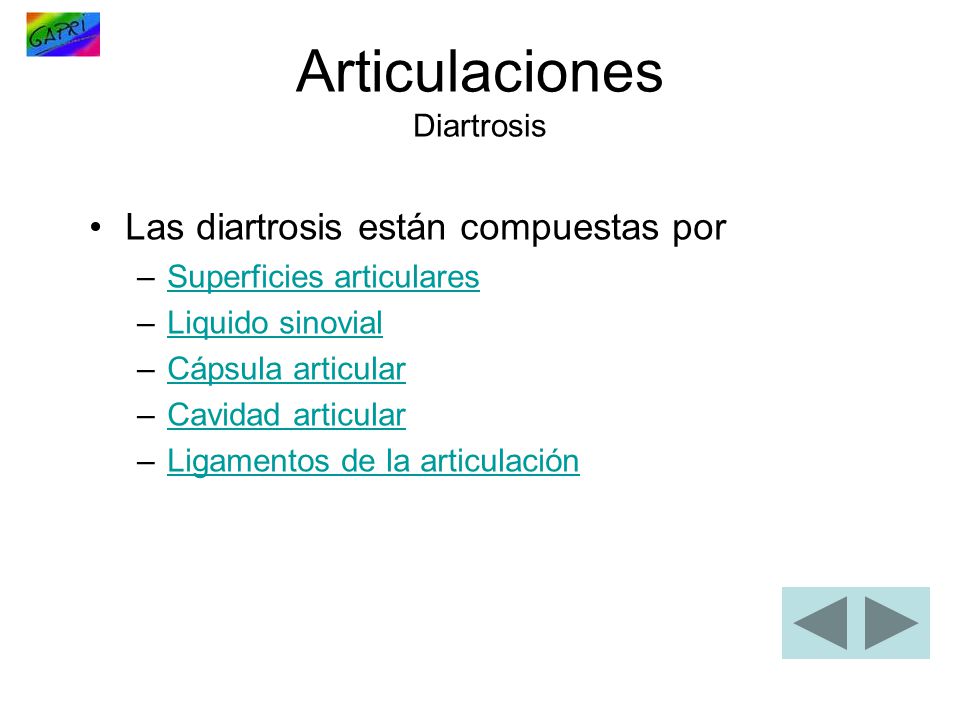 Articulaciones Diartrosis