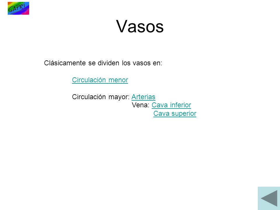 Vasos Clásicamente se dividen los vasos en: Circulación menor