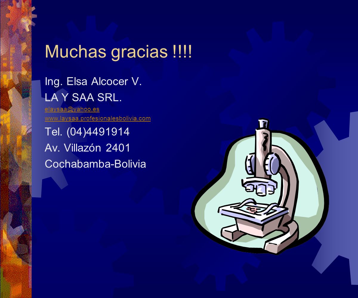 Muchas gracias !!!! Ing. Elsa Alcocer V. LA Y SAA SRL.