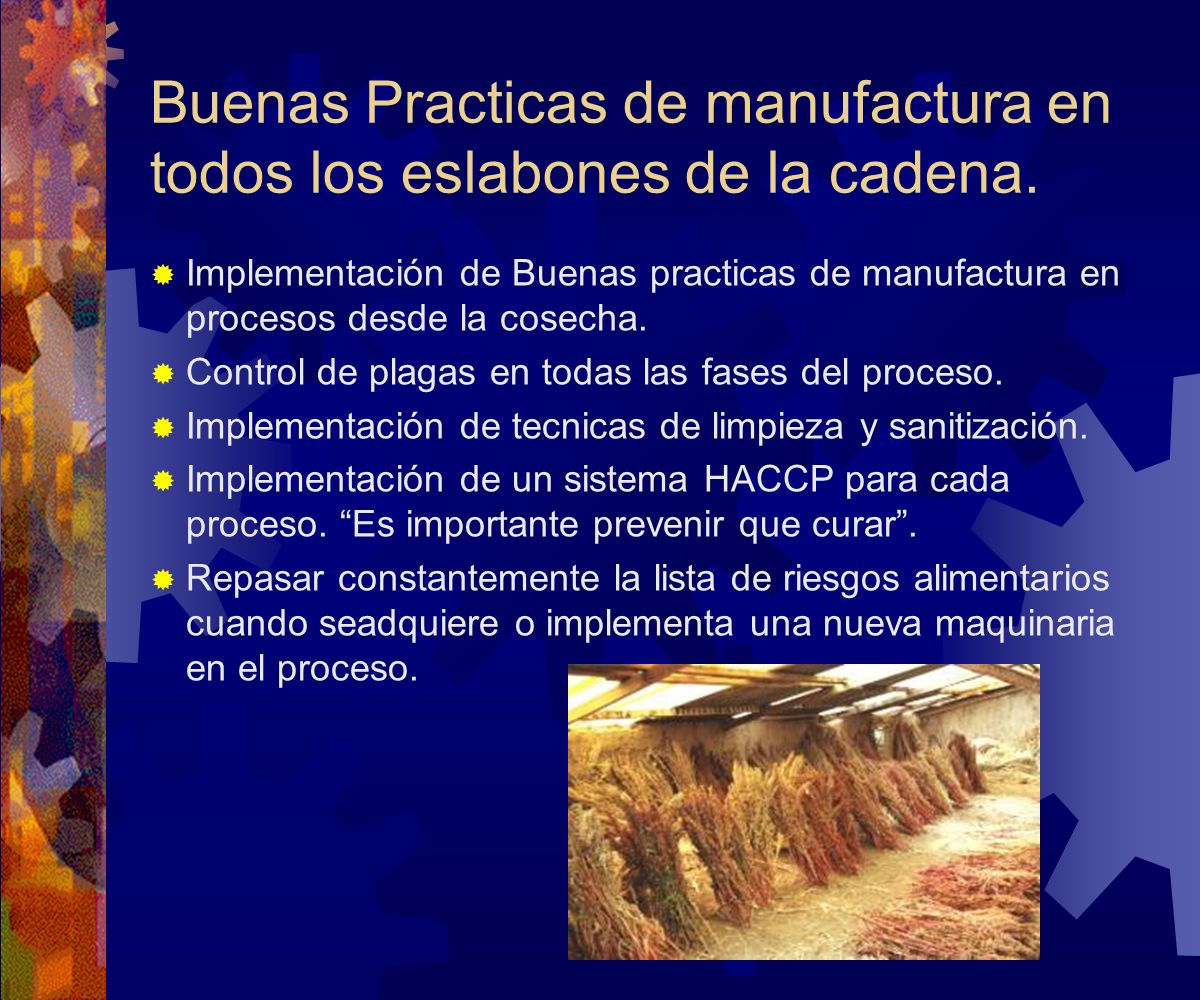 Buenas Practicas de manufactura en todos los eslabones de la cadena.