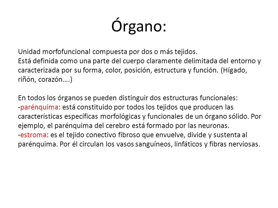 Órgano: Unidad morfofuncional compuesta por dos o más tejidos.
