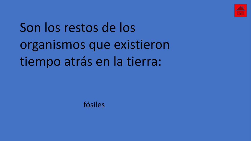Son los restos de los organismos que existieron tiempo atrás en la tierra: