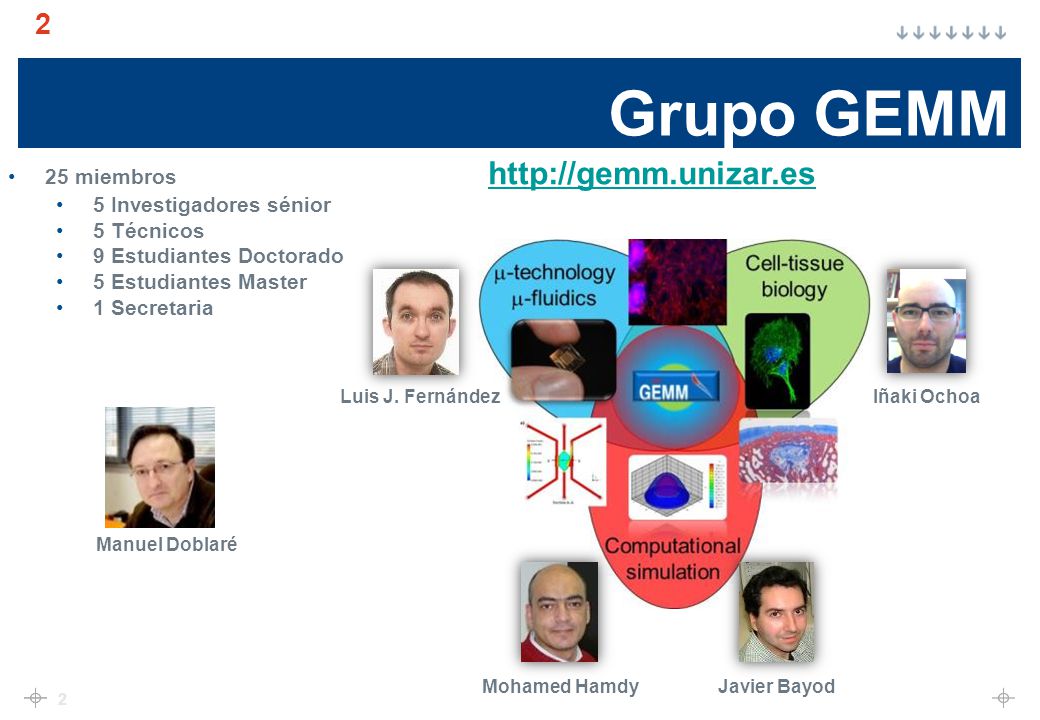 Grupo GEMM 25 miembros   5 Investigadores sénior