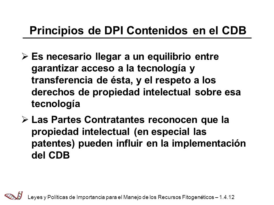 Principios de DPI Contenidos en el CDB