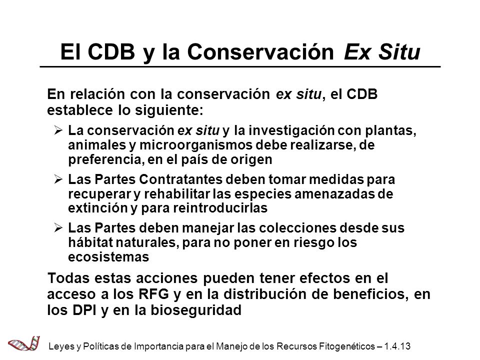 El CDB y la Conservación Ex Situ