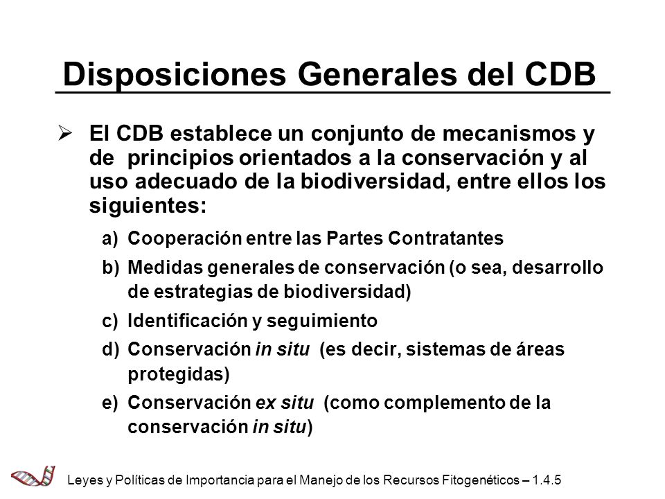 Disposiciones Generales del CDB