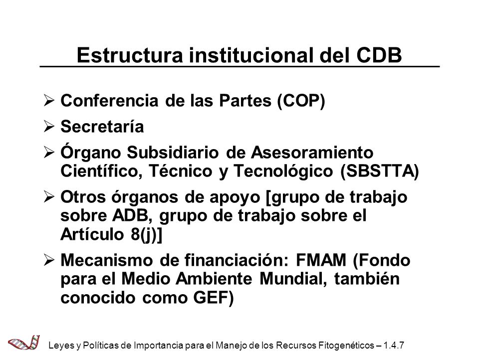 Estructura institucional del CDB