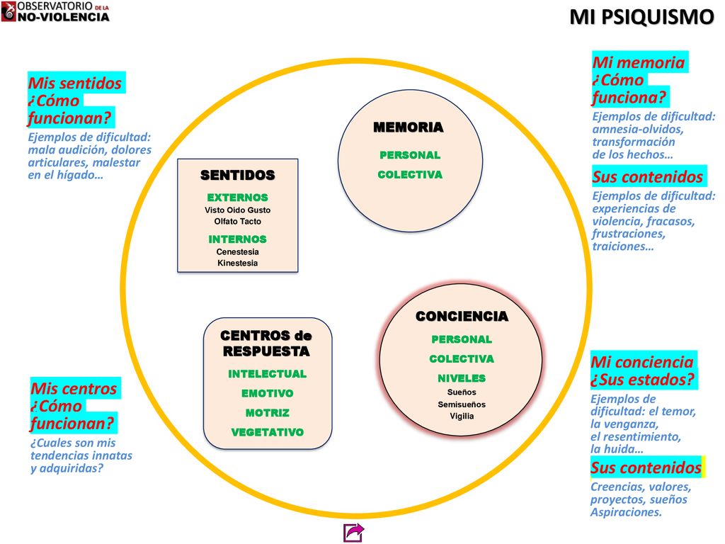 MI PSIQUISMO Mi memoria ¿Cómo funciona Mis sentidos ¿Cómo funcionan