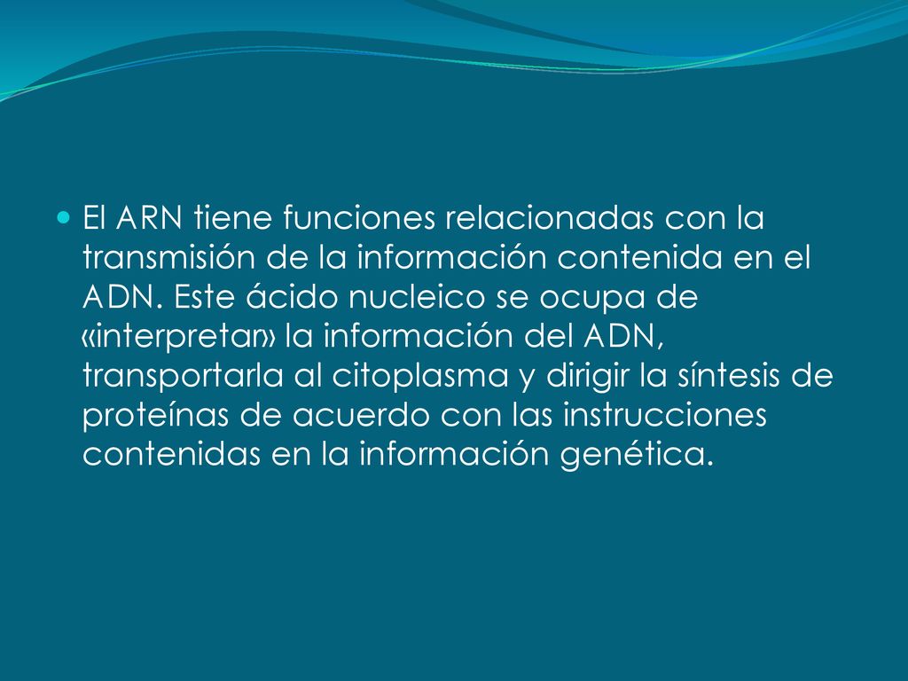 El ARN tiene funciones relacionadas con la transmisión de la información contenida en el ADN.