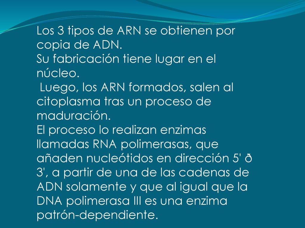 Los 3 tipos de ARN se obtienen por copia de ADN.