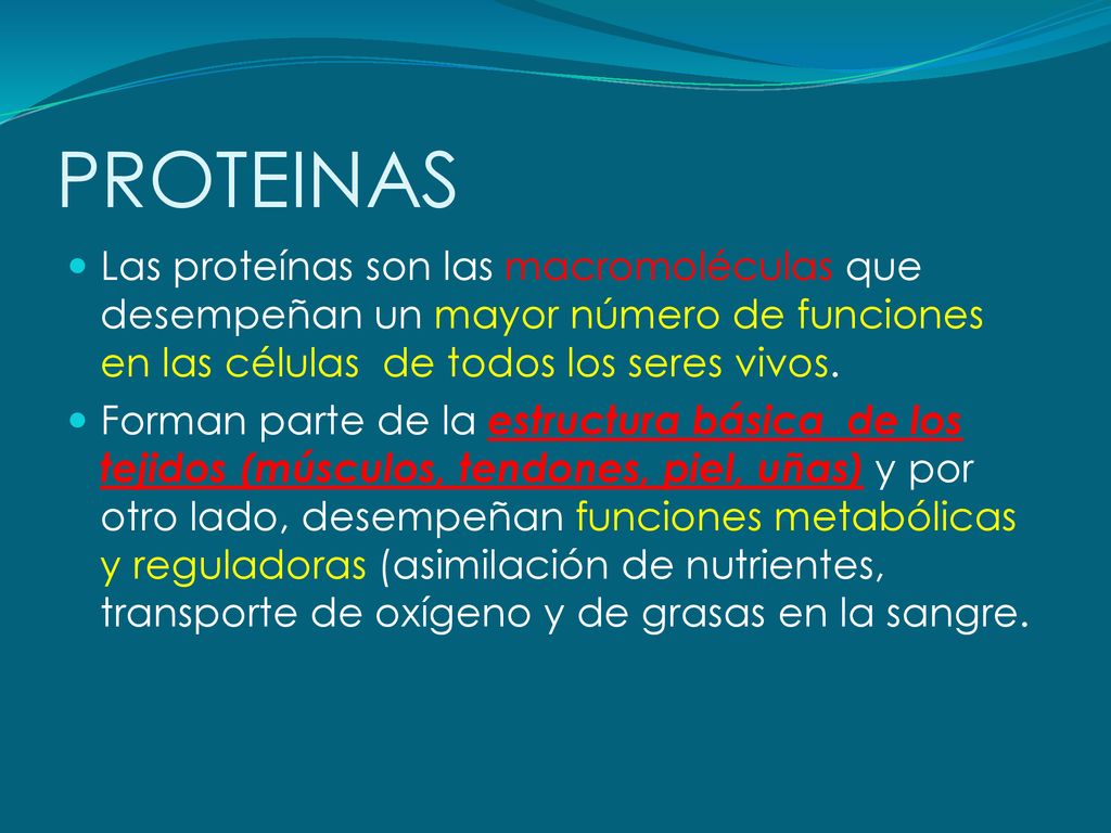 PROTEINAS Las proteínas son las macromoléculas que desempeñan un mayor número de funciones en las células de todos los seres vivos.