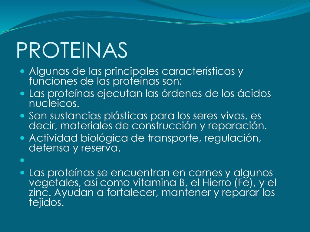 PROTEINAS Algunas de las principales características y funciones de las proteínas son: Las proteínas ejecutan las órdenes de los ácidos nucleicos.