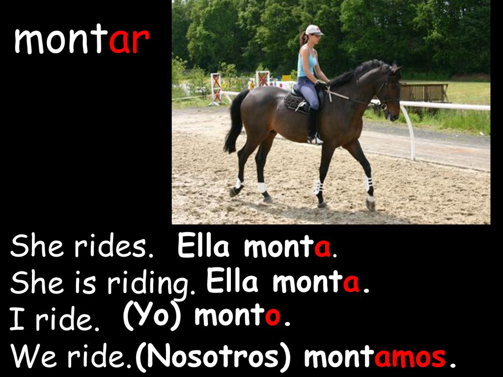 montar She rides. She is riding. I ride. We ride. Ella monta.