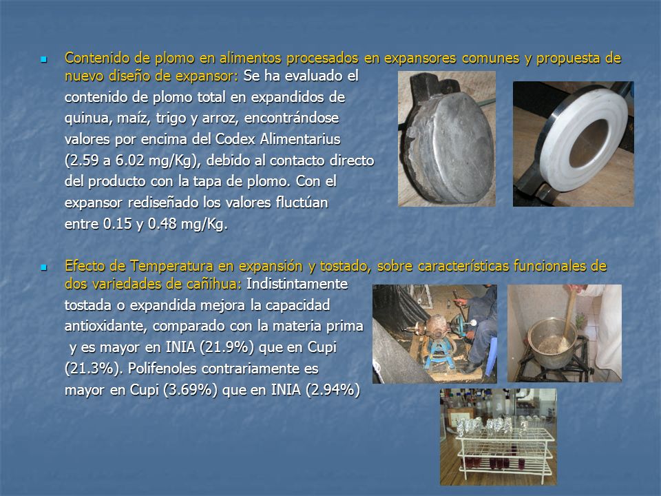 Contenido de plomo en alimentos procesados en expansores comunes y propuesta de nuevo diseño de expansor: Se ha evaluado el