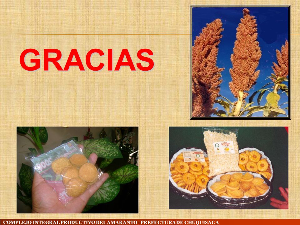 GRACIAS COMPLEJO INTEGRAL PRODUCTIVO DEL AMARANTO - PREFECTURA DE CHUQUISACA