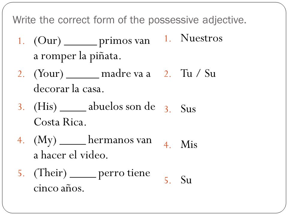Write the correct form of the possessive adjective.