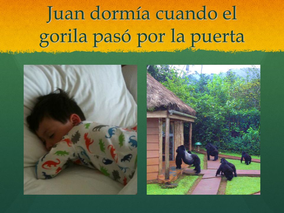 Juan dormía cuando el gorila pasó por la puerta
