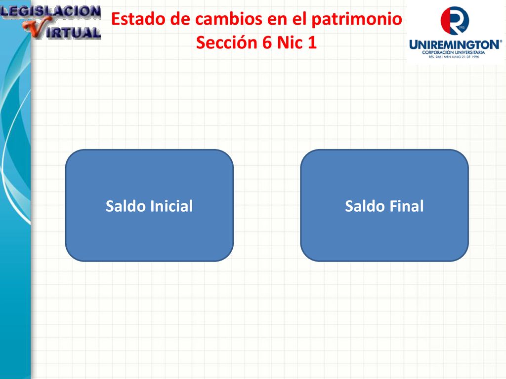 Estado de cambios en el patrimonio Sección 6 Nic 1