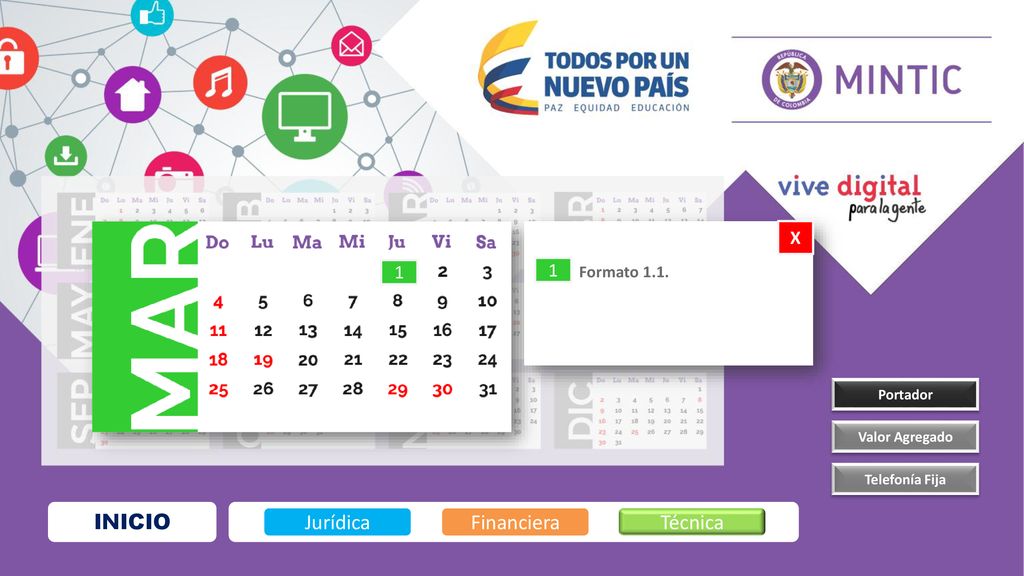 INICIO Jurídica Financiera Técnica X 1 1 Formato 1.1. Portador