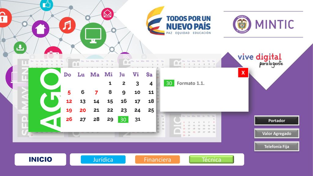 INICIO Jurídica Financiera Técnica X Formato 1.1. Portador