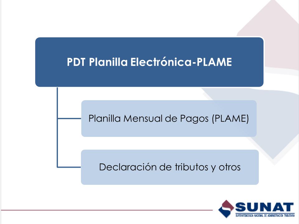 PDT Planilla Electrónica-PLAME