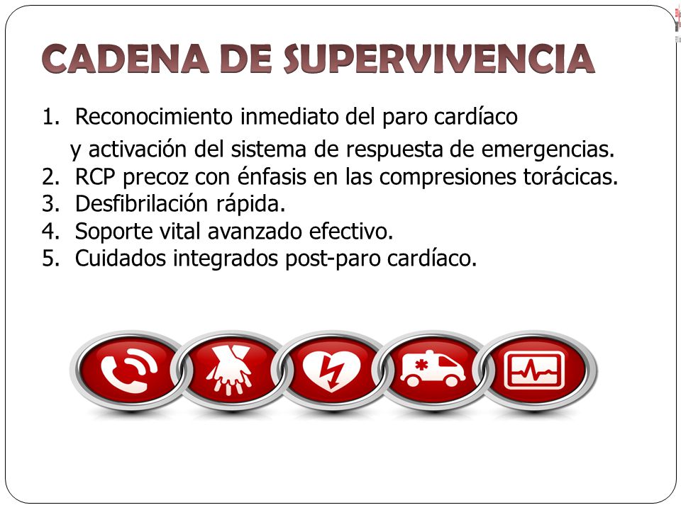 CADENA DE SUPERVIVENCIA