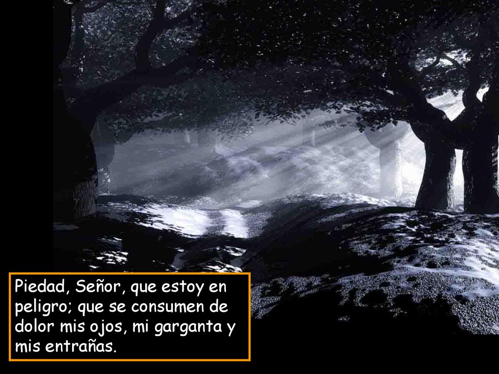 Piedad, Señor, que estoy en peligro; que se consumen de dolor mis ojos, mi garganta y mis entrañas.