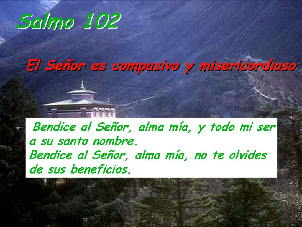 Salmo 102 El Señor es compasivo y misericordioso
