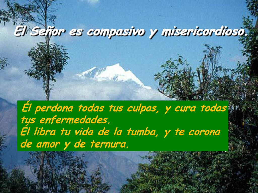 El Señor es compasivo y misericordioso.