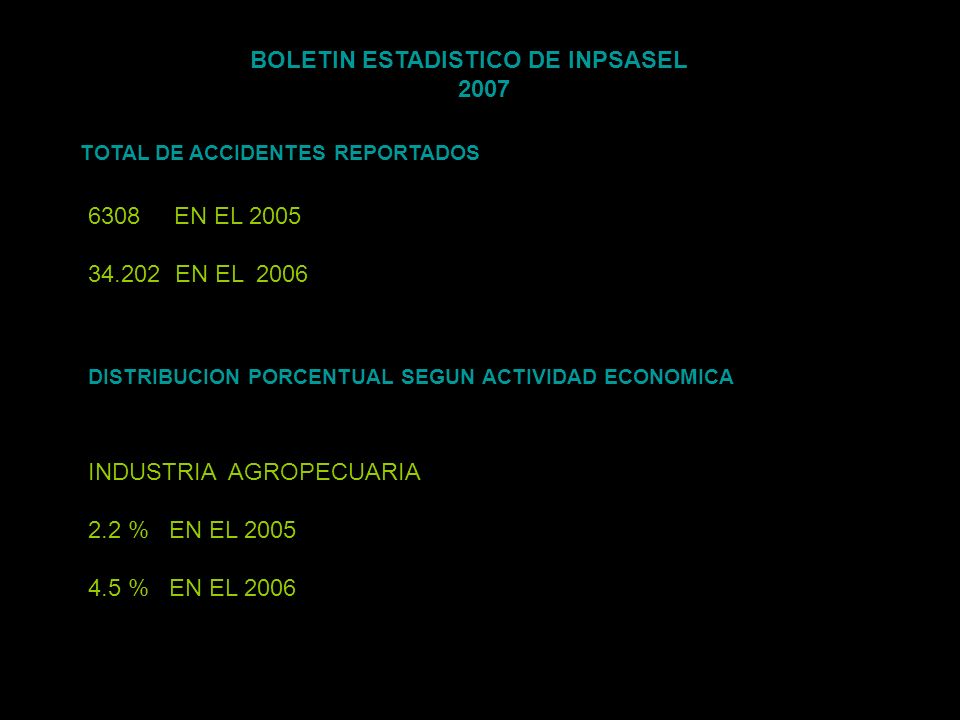 BOLETIN ESTADISTICO DE INPSASEL 2007