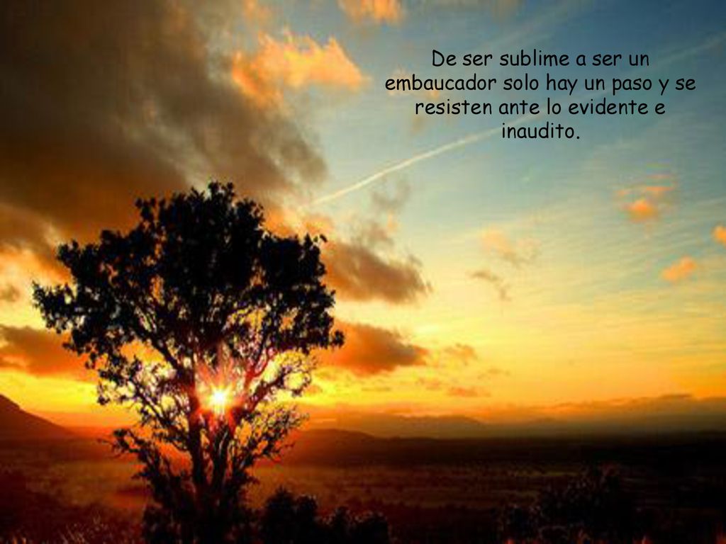 De ser sublime a ser un embaucador solo hay un paso y se resisten ante lo evidente e inaudito.