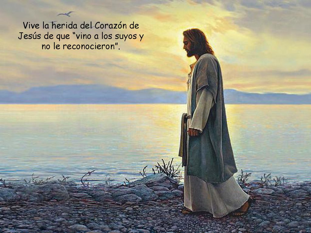 Vive la herida del Corazón de Jesús de que vino a los suyos y no le reconocieron .
