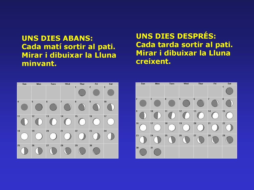UNS DIES DESPRÉS: Cada tarda sortir al pati