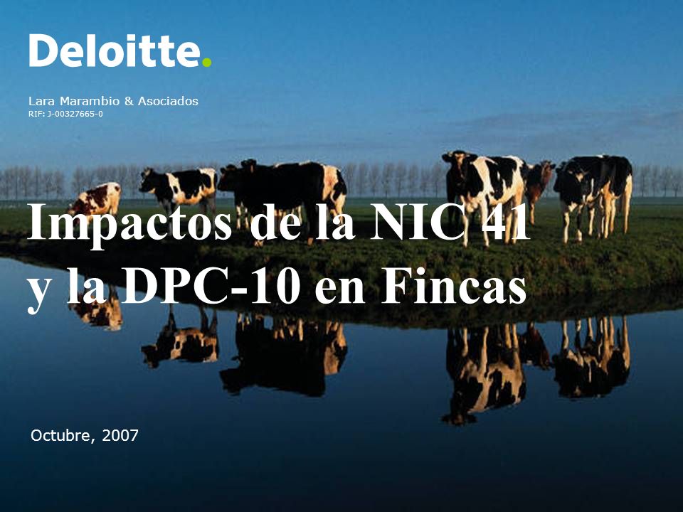 Impactos de la NIC 41 y la DPC-10 en Fincas