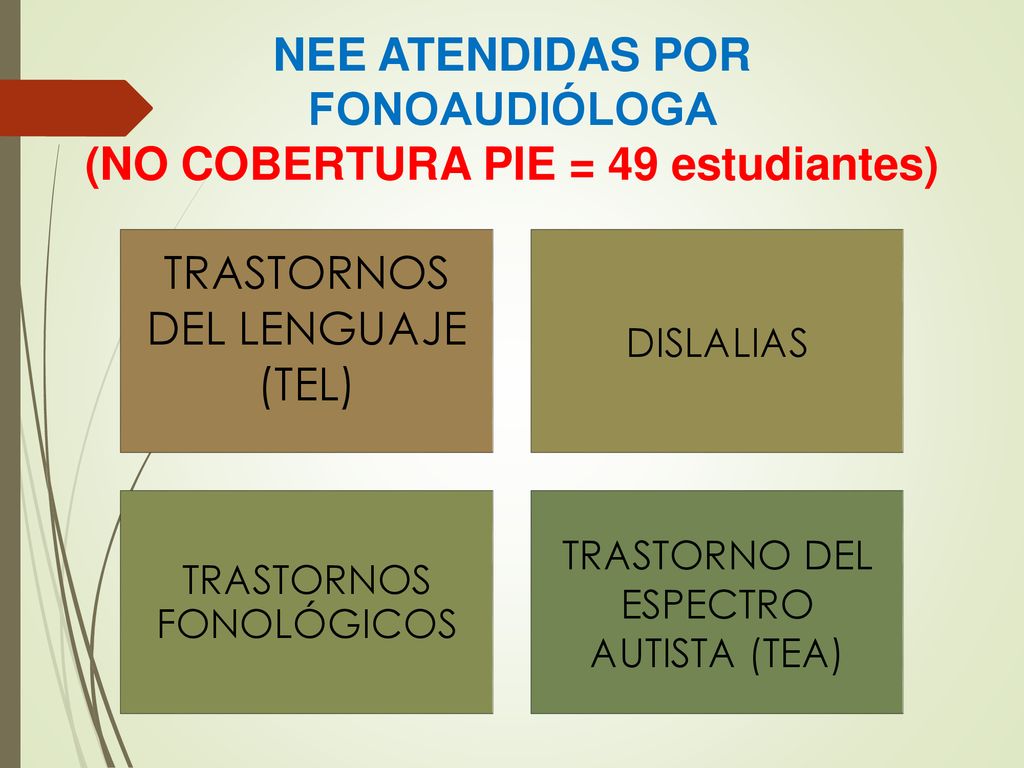 NEE ATENDIDAS POR FONOAUDIÓLOGA (NO COBERTURA PIE = 49 estudiantes)